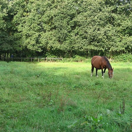 Bed and Breakfast Rustpunt Groote Heide à Heeze Extérieur photo